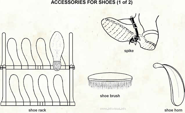 Accessories for shoes  (Visual Dictionary)